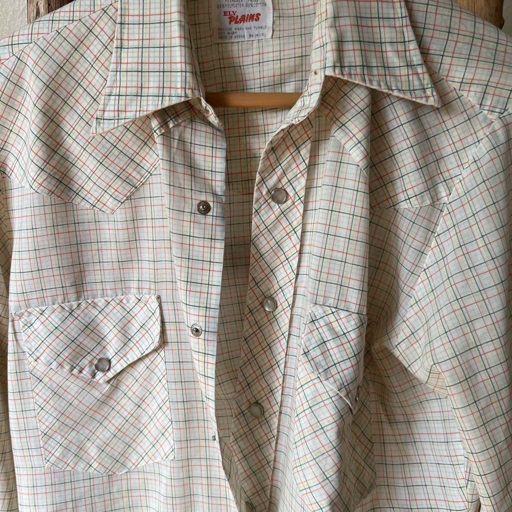 Ely Plains Button Down